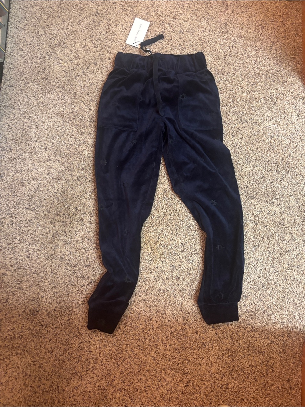 NWT Something Navy Women’s Dark Navy Velour Joggers
